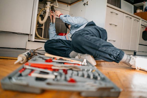 Best Emergency Plumber  in Wayne City, IL