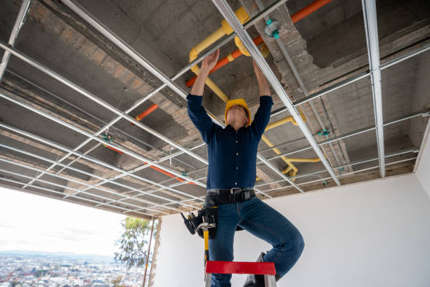 Best Same-Day Plumbing Service  in Wayne City, IL