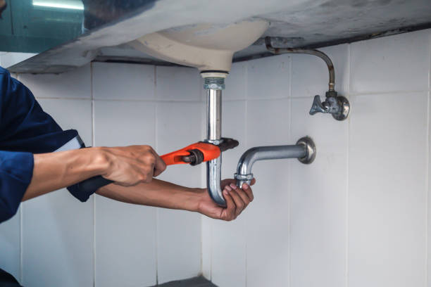 Best Sewer Cleaning Services  in Wayne City, IL