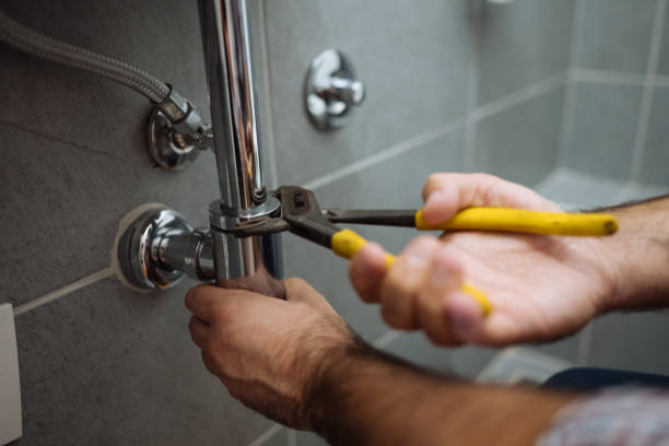 Best Sewer Line Repair  in Wayne City, IL