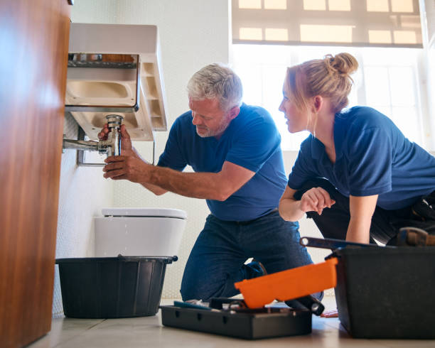 Best Same-Day Plumbing Service  in Wayne City, IL